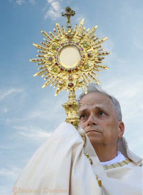 LA SANTA MISA NO DEBE SER UN ESPECTÁCULO. PALABRAS DEL PAPA LEÓN XIV ...